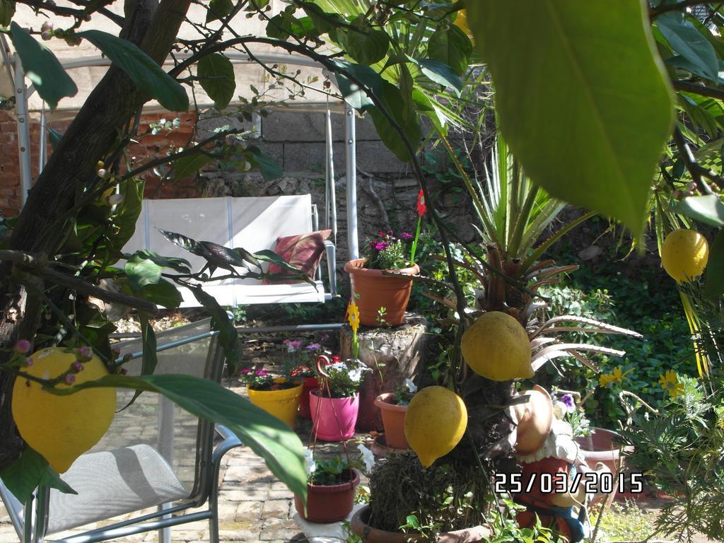 Beach House Apartment ซีเด ห้อง รูปภาพ